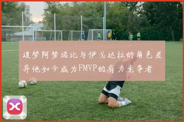 追梦阿努诺比与伊戈达拉的角色差异他如今成为FMVP的有力竞争者