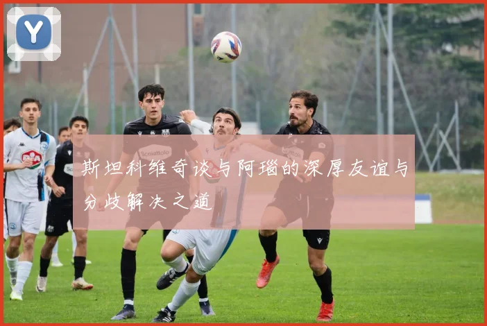 斯坦科维奇谈与阿瑙的深厚友谊与分歧解决之道